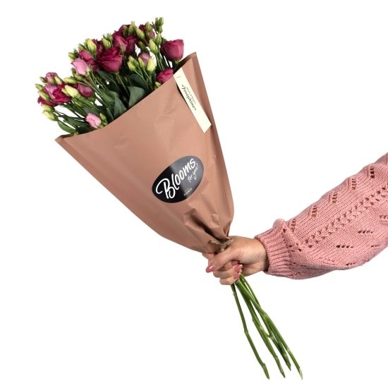 Blooms for you «Josephine»
