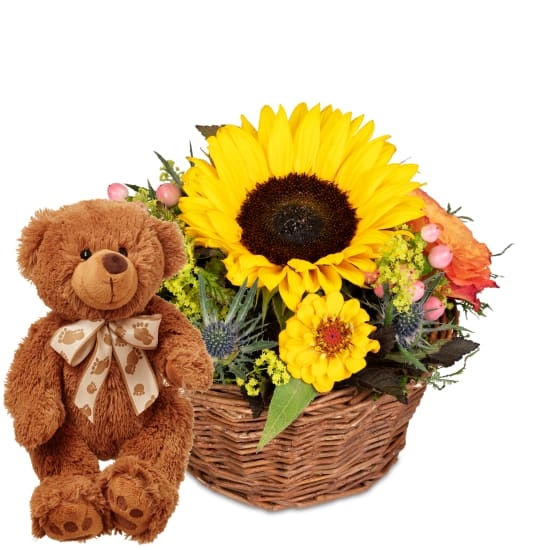 Sunny Kiss with teddy bear (Minimum)