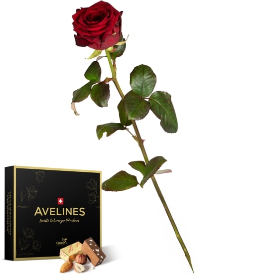 1 Red Rose with Avelines pralines from Maestrani