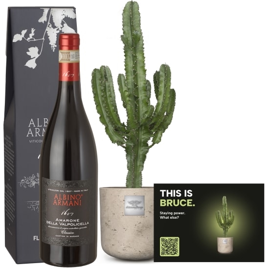 Mannerpflanze «This is Bruce» (Euphorbia) with Amarone Albino Armani DOCG (75 cl)