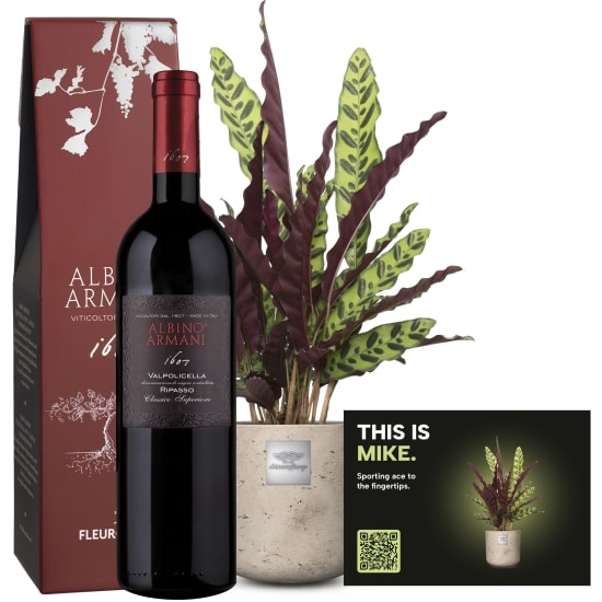Mannerpflanze «This is Mike» (Calathea) with Ripasso Albino Armani DOC (75 cl)