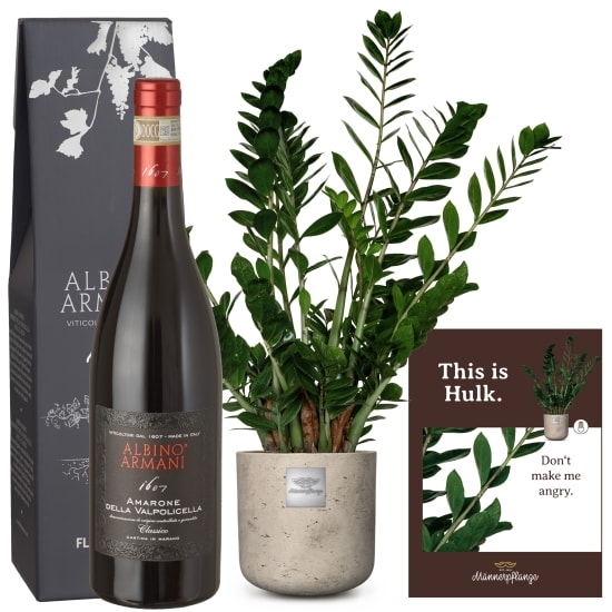 This is Hulk (Zamioculcas zamiifolia) with Amarone Albino Armani DOCG (75 cl)