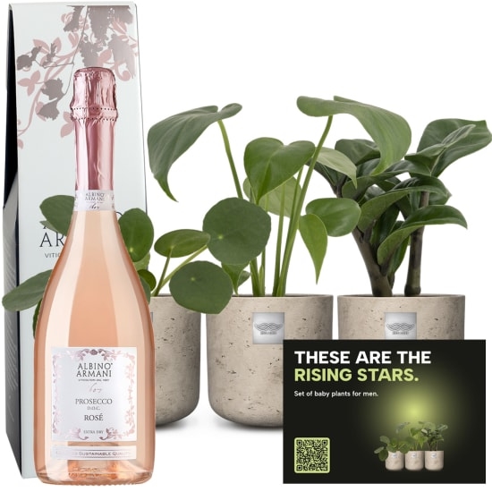 Set of baby plants for men «Rising stars» with Prosecco Rose Albino Armani DOC (75 cl)