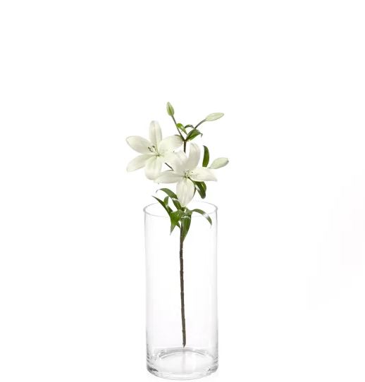 MyBouquet «10 White Lilies»
