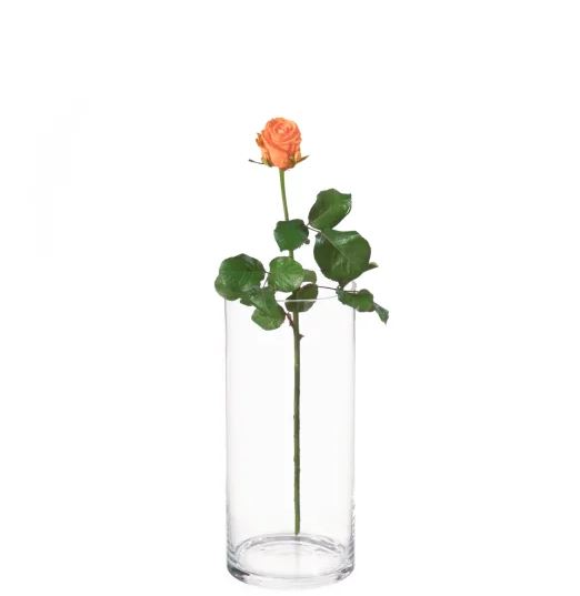 MyBouquet «Orange Roses»_x000D_