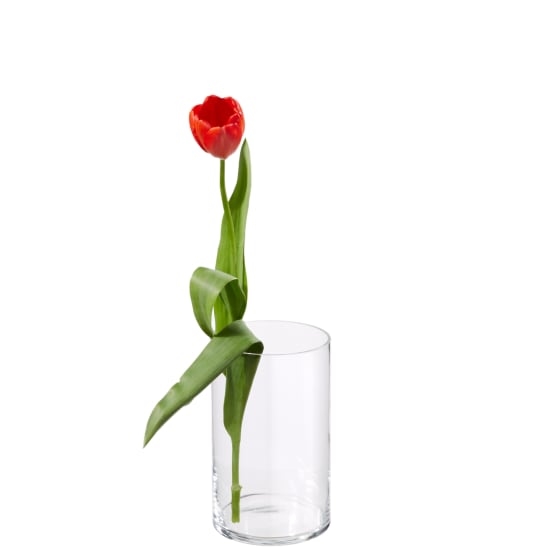 MyBouquet «15 Red Tulips»_x000D_