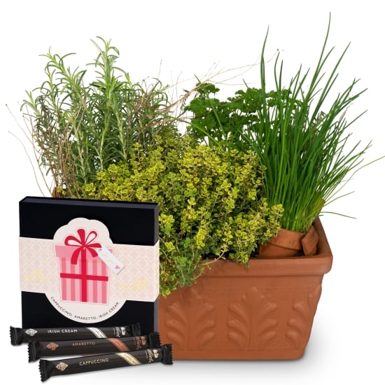 Herb Box with Gottlieber Huppen «For You»