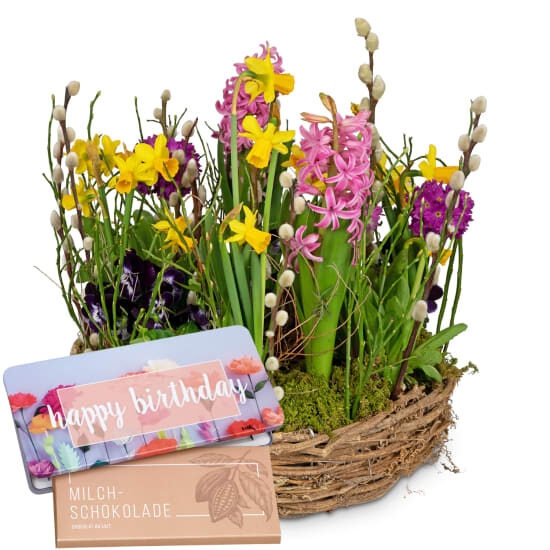 Planter «Colorful Spring Wreath» with Munz bar of chocolate «Happy Birthday»