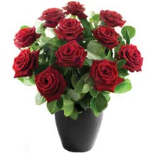 Twelve roses