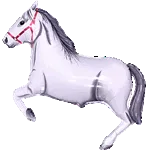 WHITE HORSE SUPER SHAPE