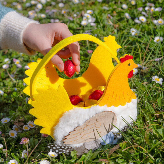 Colette the hen