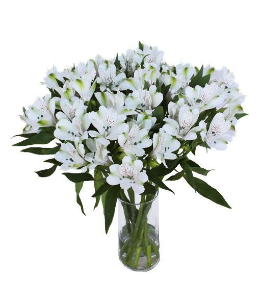 White Alstroemeria Bouquet With Vase