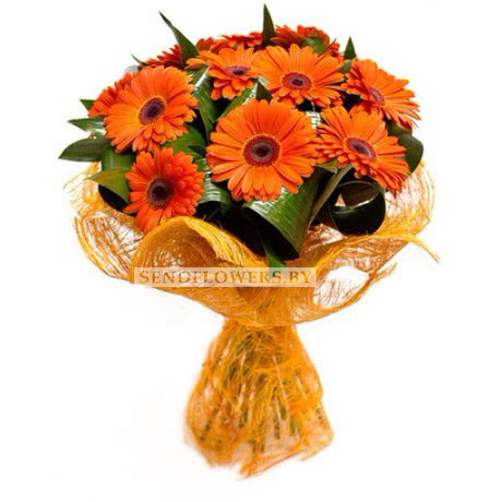 Hand-tied Bouquet of 15 orange gerberas
