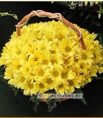 Flower Basket "Yellow Chrysanthemums"