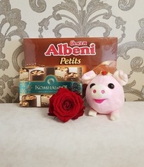 Plush pig with rose and candies