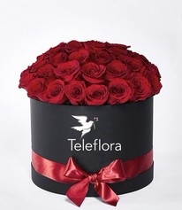 Red roses in black box