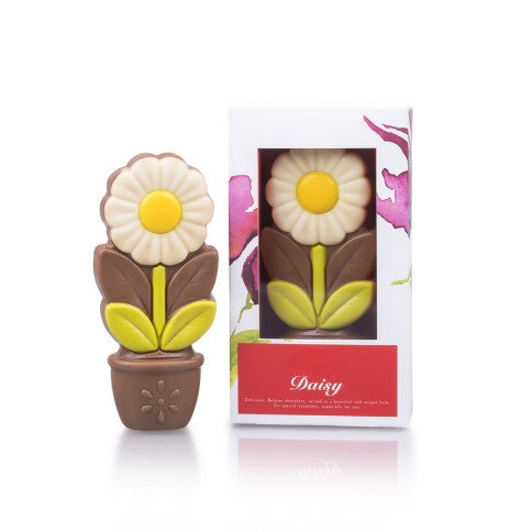 Daisy white - Chocolate flower
