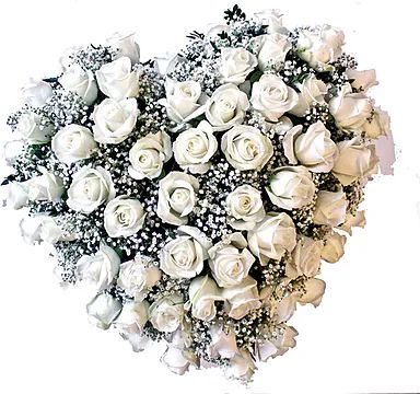 White Roses (Classic Composition)