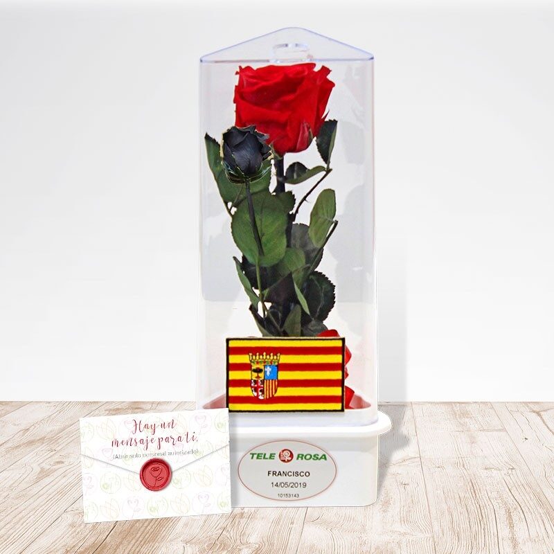 Aragon Eternal Rose