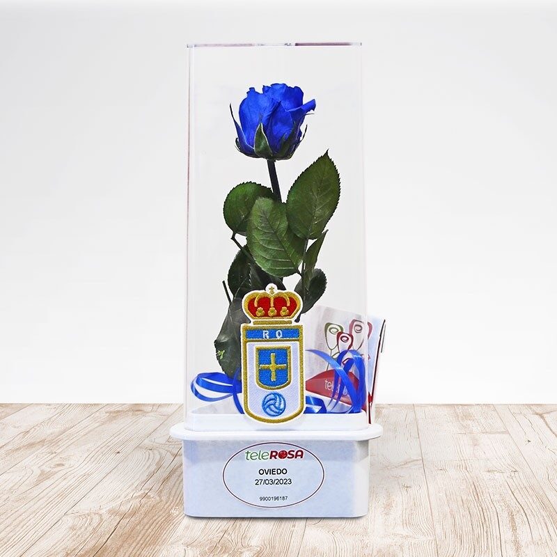 Eternal Rose Real Oviedo
