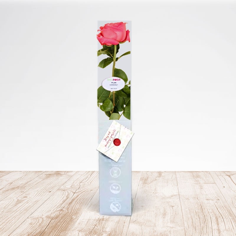 Premium Eternal Rose