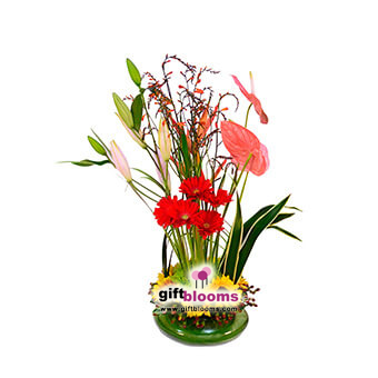 Floral Arrangement For Her-2