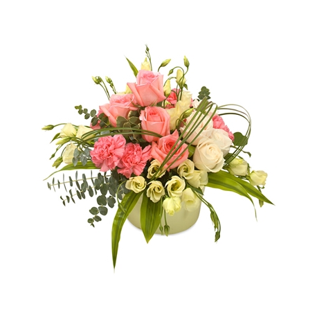 Saphir Rose