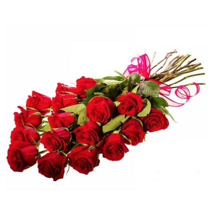 Red Passion