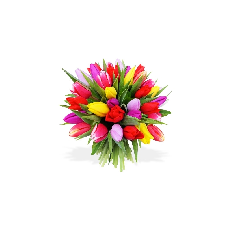 Splash Of Colors