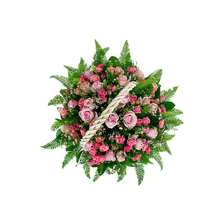 Magenta