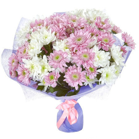 Bouquet of Crysanthemums - White and pink