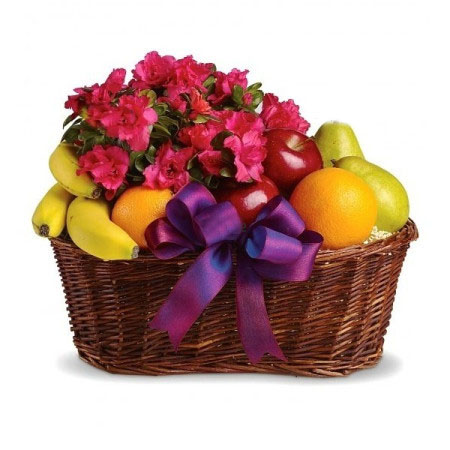 Fruit basket and Azalea