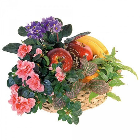 Fruit basket and potted plants