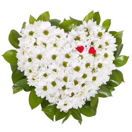 Gentle heart