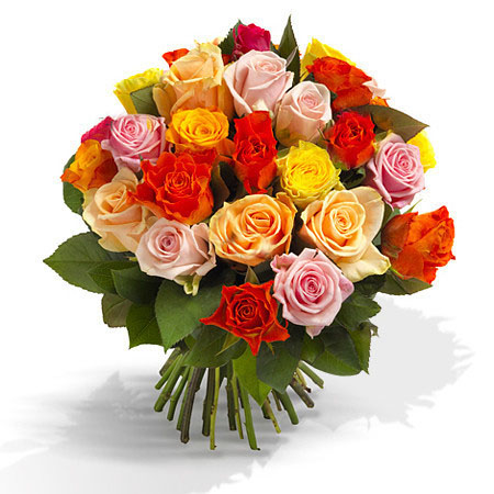 Colourful roses