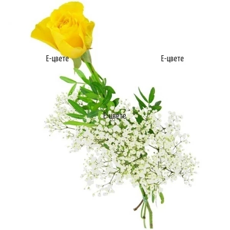 One Yellow Rose
