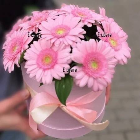 11 pink gerberas in round box