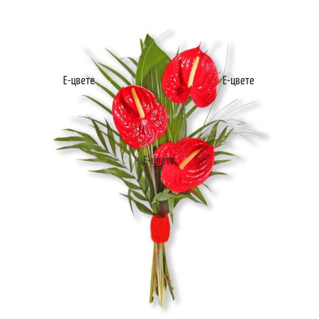 Bouquet Of Anthuriums(red)