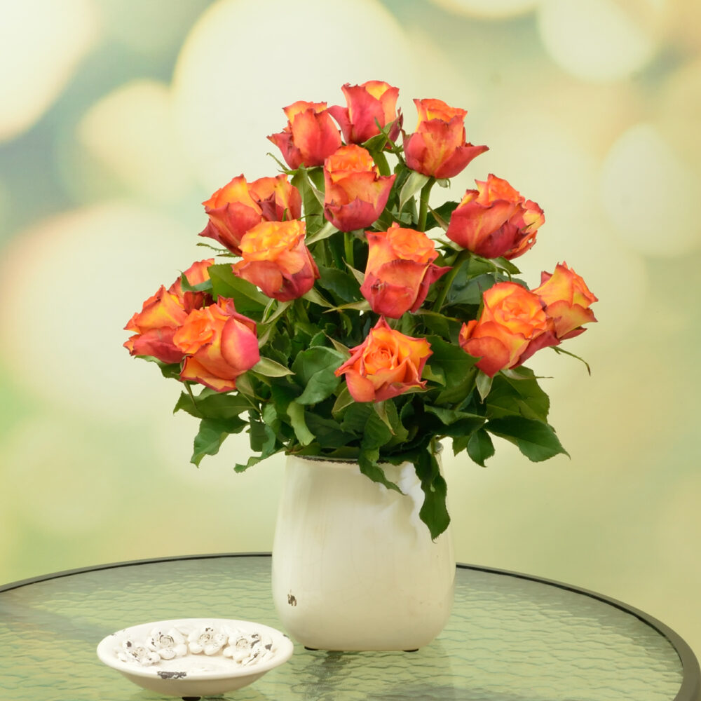 Red and orange roses (Medium)