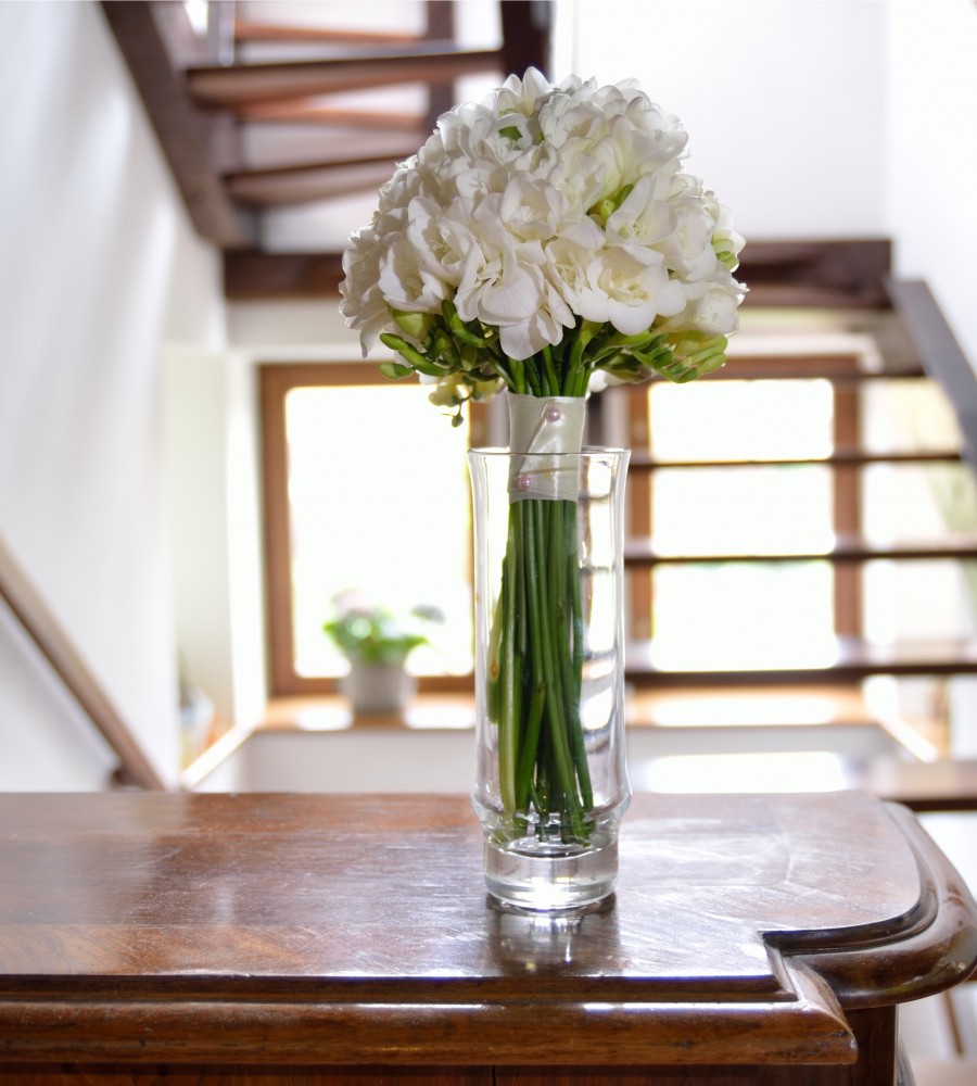 white freesia