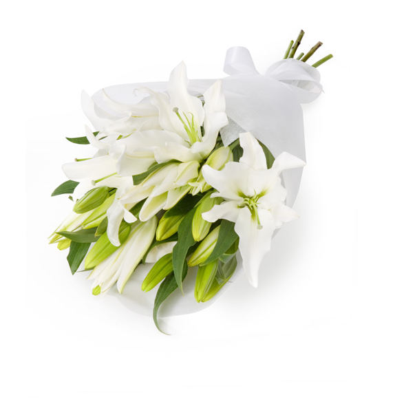 White lilies
