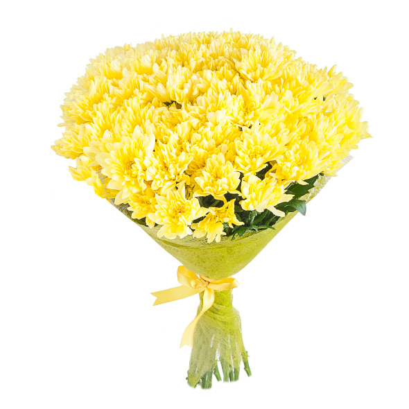 Yellow Chrysanthemum